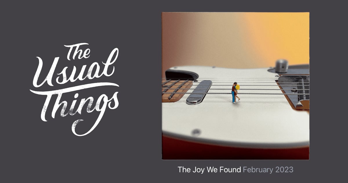 The Joy We Found - The Usual Things